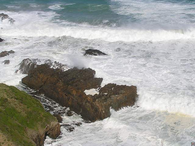 The Catlins Coast 025.jpg